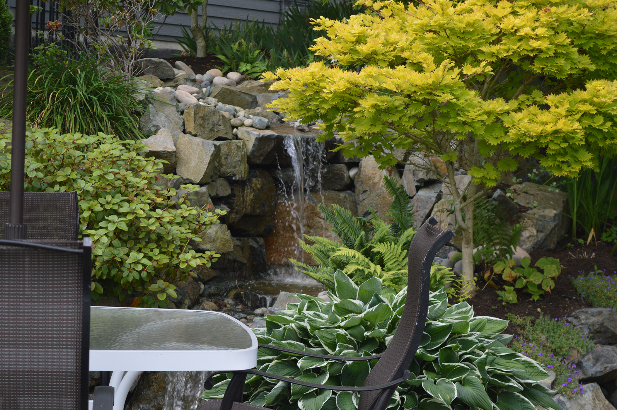 landscaping abbotsford